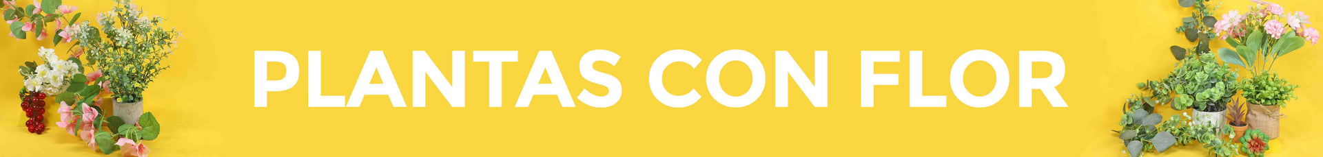 Plantas con Flor