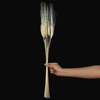 Art.1095 Espiga De Trigo 74cm 12pz