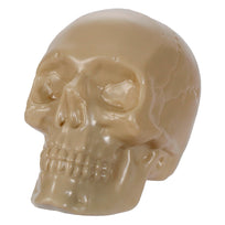 Art.11661 Craneo Plástico 11x18x13cm 1pz