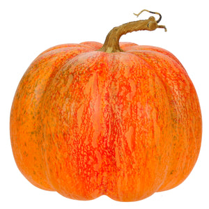 Art.11675 Calabaza Premium 21x23cm 1pz