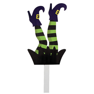 Art.1928 Pies De Bruja 57x25cm