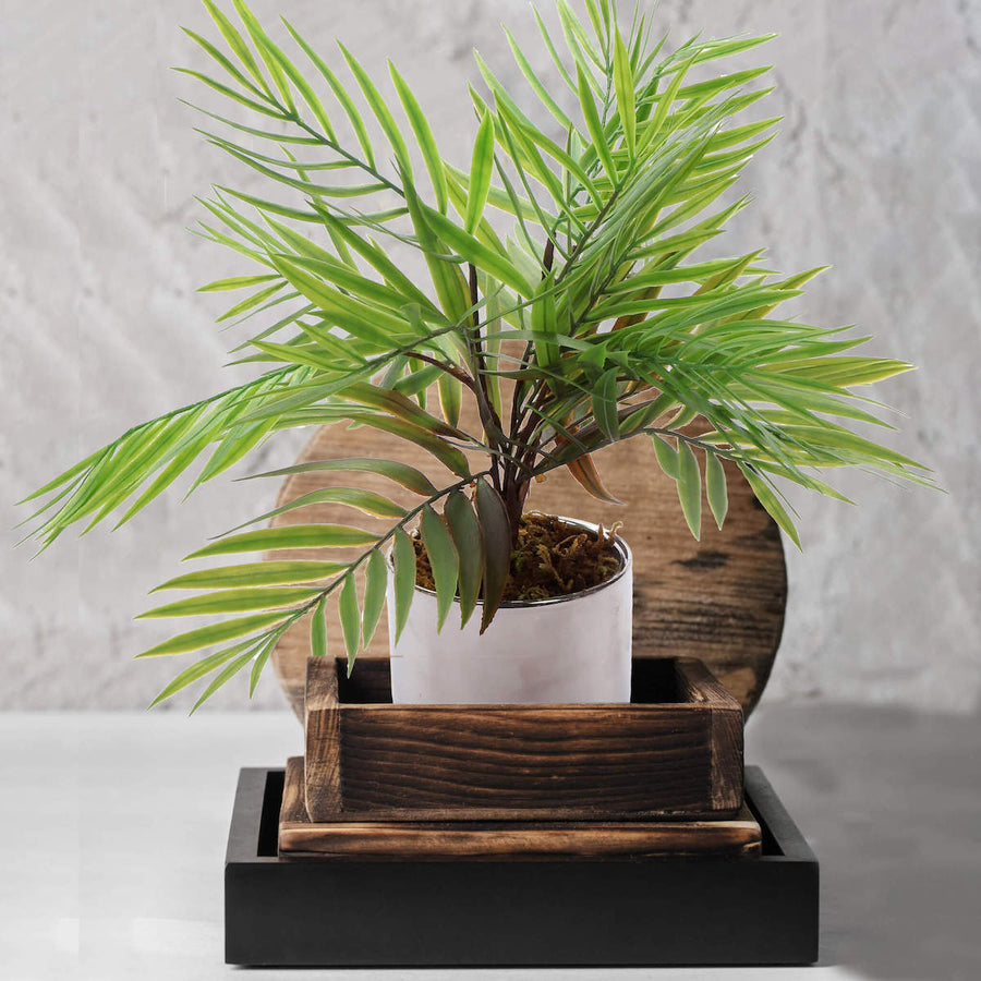 Art.2012 Planta Bambú x13 43cm 1pz