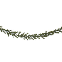 Art.9325 Enredadera De Eucalipto 1.8m