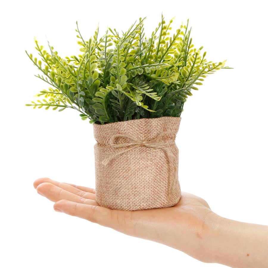 Art.10542 Planta Base De Yute 17.5cm 1pz