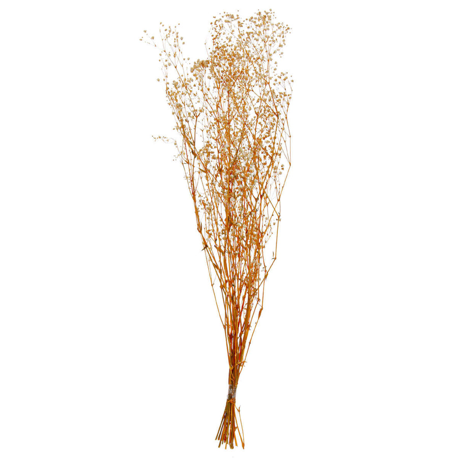 Art.11049 Ramo Gypsophila Natural