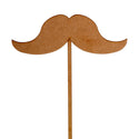 Fantasías Miguel