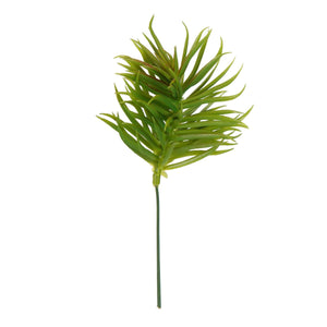 Art.1880 Cactus Sin Maceta