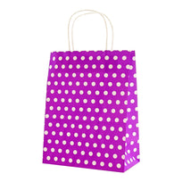 Art.4216 Bolsa Con Puntos Y Agarradera