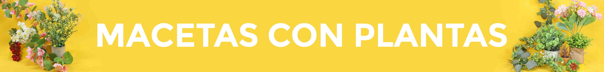 Macetas con Plantas