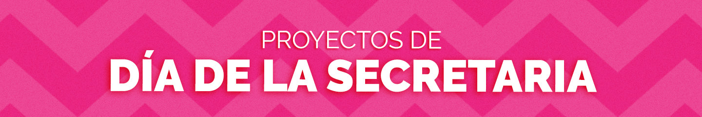 Proyectos para Día de la Secretaría