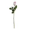 image variant Rosa/Blanco