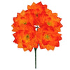 image variant Naranja