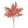 image variant Coral