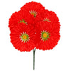 image variant Rojo