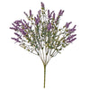 image variant Morado