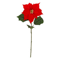 Art.11641 Nochebuena Extra Fina 47.5cm 1pz