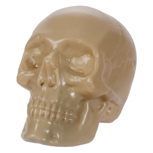 Calaveras y Esqueletos