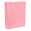 Fantasías Miguel Art.11979 Bolsa Regalo 42x33x10cm 1pz Rosa Claro