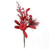 image variant Rojo