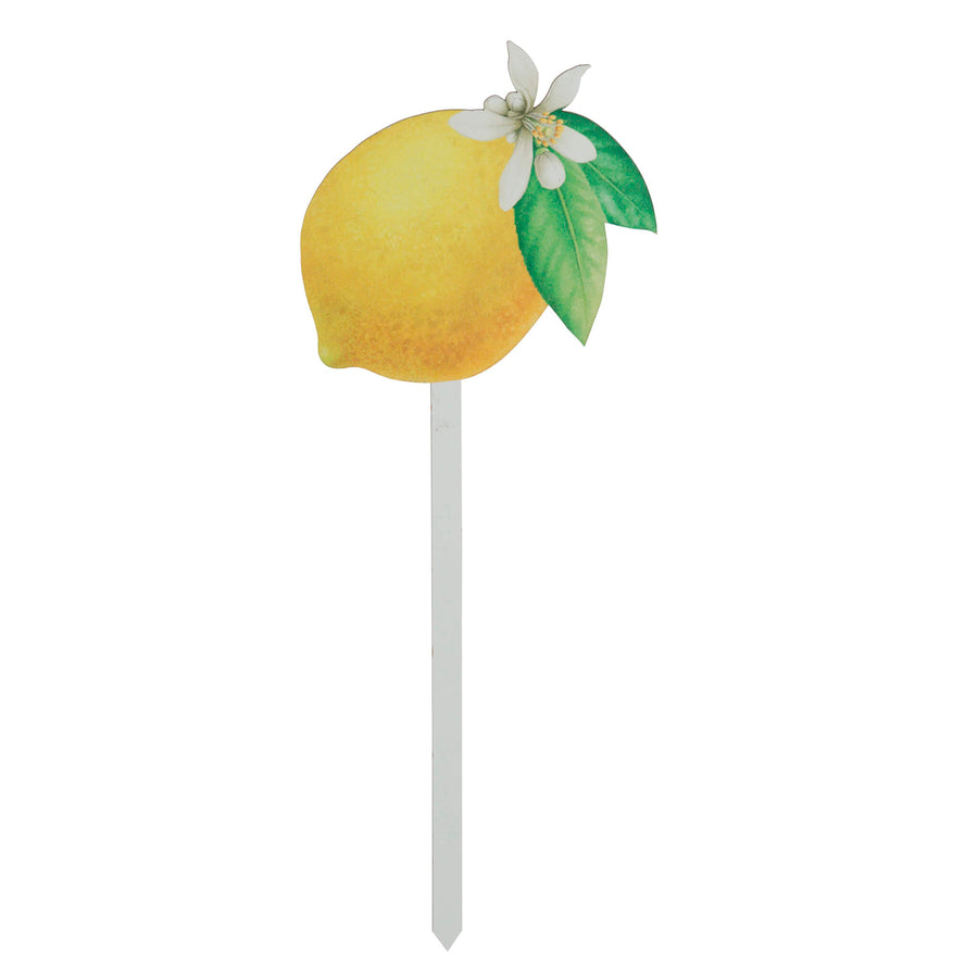 Art.12558 Pick Limón