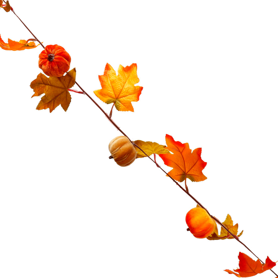 Art.12606 Guia Maple/Calabazas 190cm 1pz