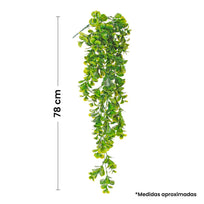 Art.1341 Follaje 78cm 1pz