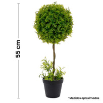 Art.1414 Centro De Mesa Topiario 55cm 1pz