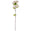 Fantasías Miguel Art.2335 Flor Fina Tallo Largo 1m 1pz Crema