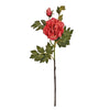 image variant Rosa Mexican