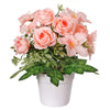 image variant Rosa