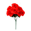 image variant Rojo