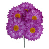 image variant Morado