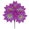 image variant Morado