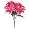 image variant Fiusha/Bco