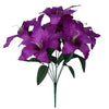 image variant Morado