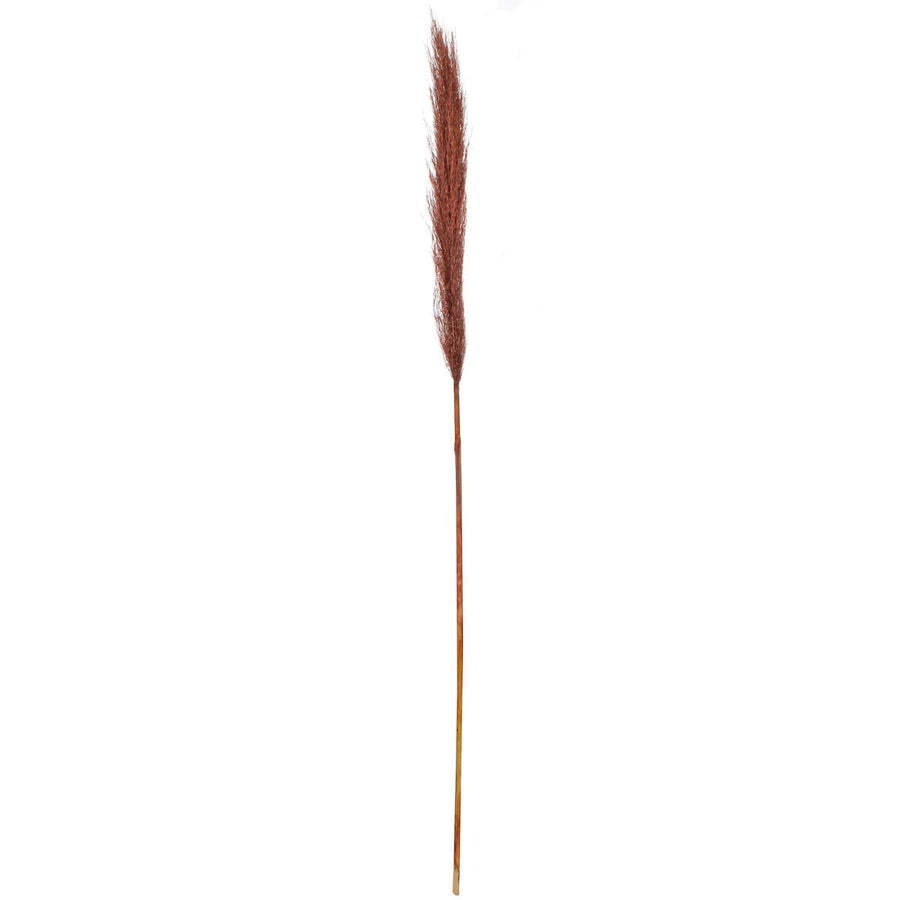 Art.6565 Flor De Pampa Grande