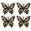 Fantasías Miguel Art.7838 Mariposa De PVC 9x10cm 4pz Negro/Oro