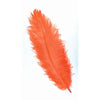 image variant Naranja