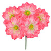 image variant Coral