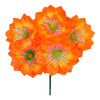 image variant Naranja