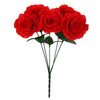 image variant Rojo