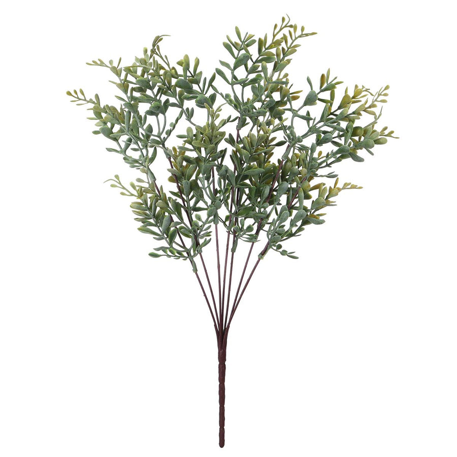 Art.9111 Planta Fina x7