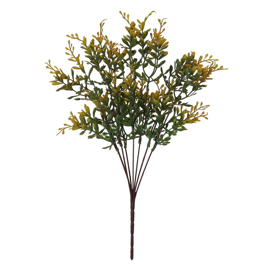 Art.9111 Planta Fina x7