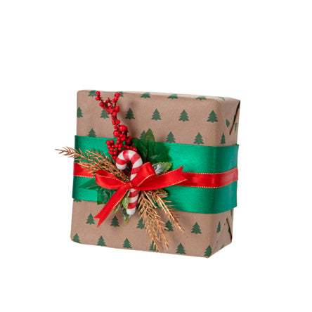 Regalo Navideño
