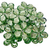 image variant Menta
