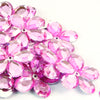 image variant Rosa