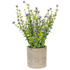 image variant Lavanda
