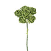 image variant Verde Lima