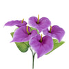 image variant Morado