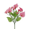 image variant Rosa